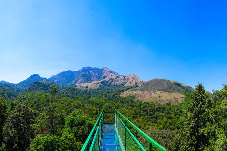 900-Kandi-Wayanad