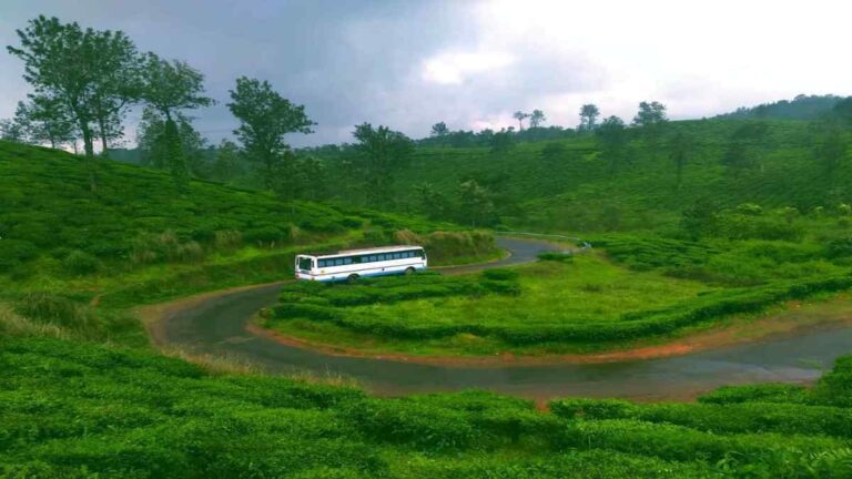 meppadi