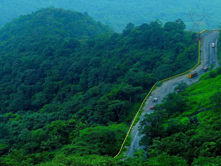 waynadu